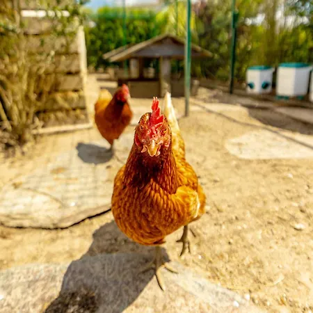 Evasion -luxe&confort En Charente-maritime Villa *