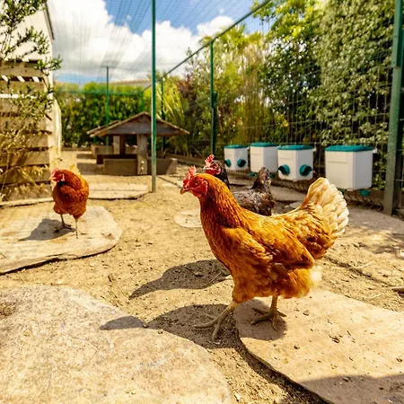 Evasion -luxe&confort En Charente-maritime Villa Saint-Ciers-du-Taillon